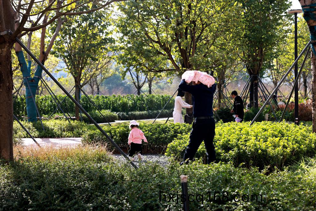 1G4A0279.jpg 1G4A0279.jpg