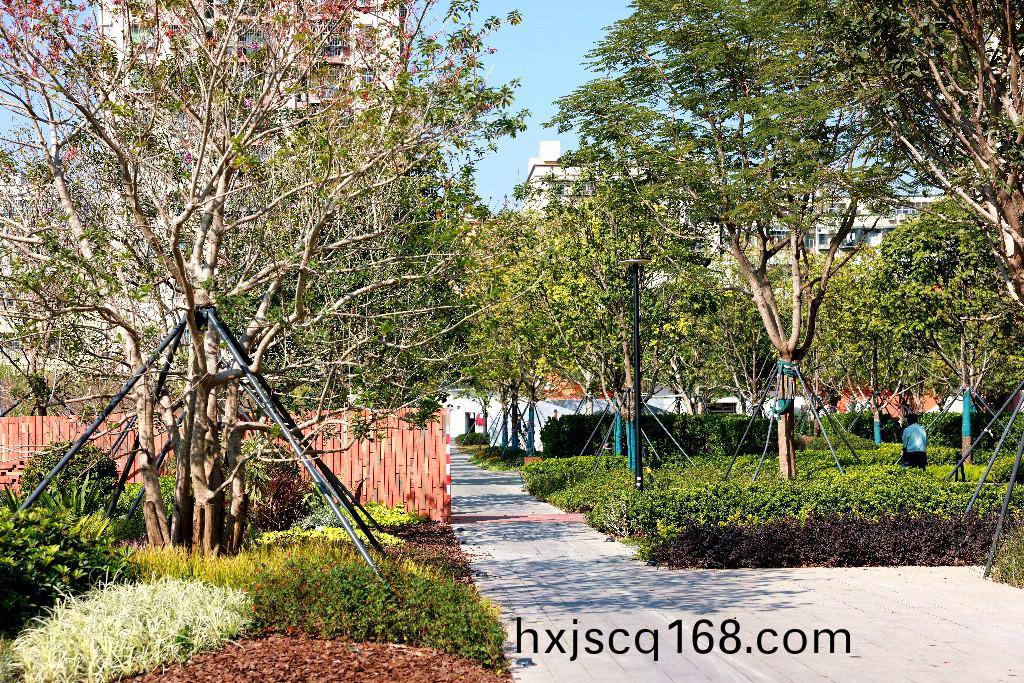 1G4A0242.jpg 1G4A0242.jpg