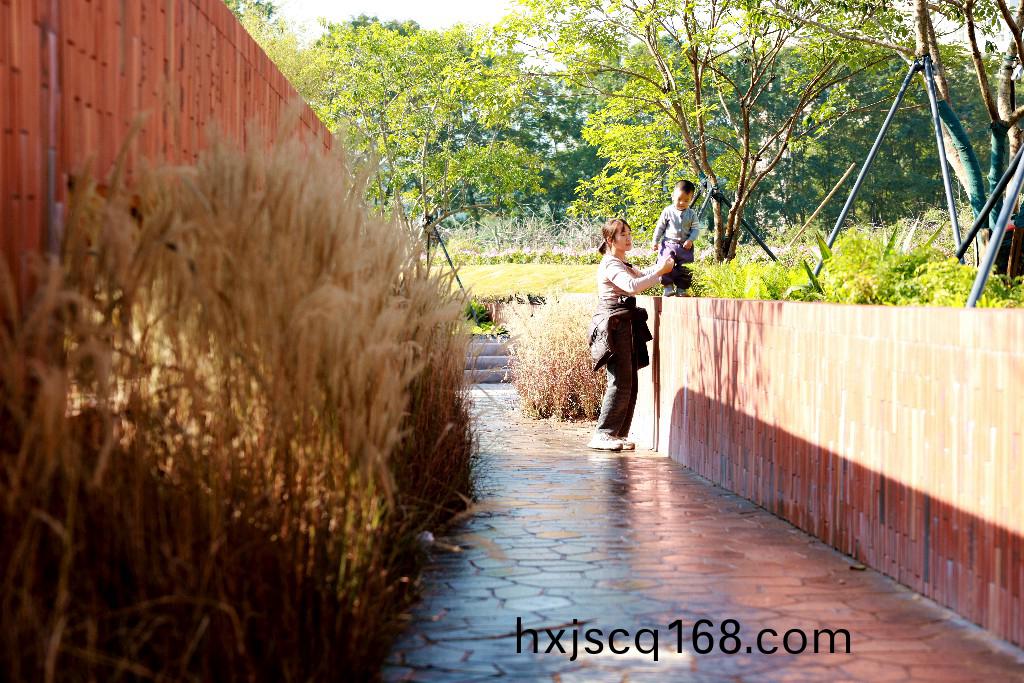 1G4A0150.jpg 1G4A0150.jpg