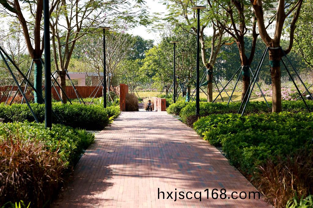 1G4A0217.jpg 1G4A0217.jpg