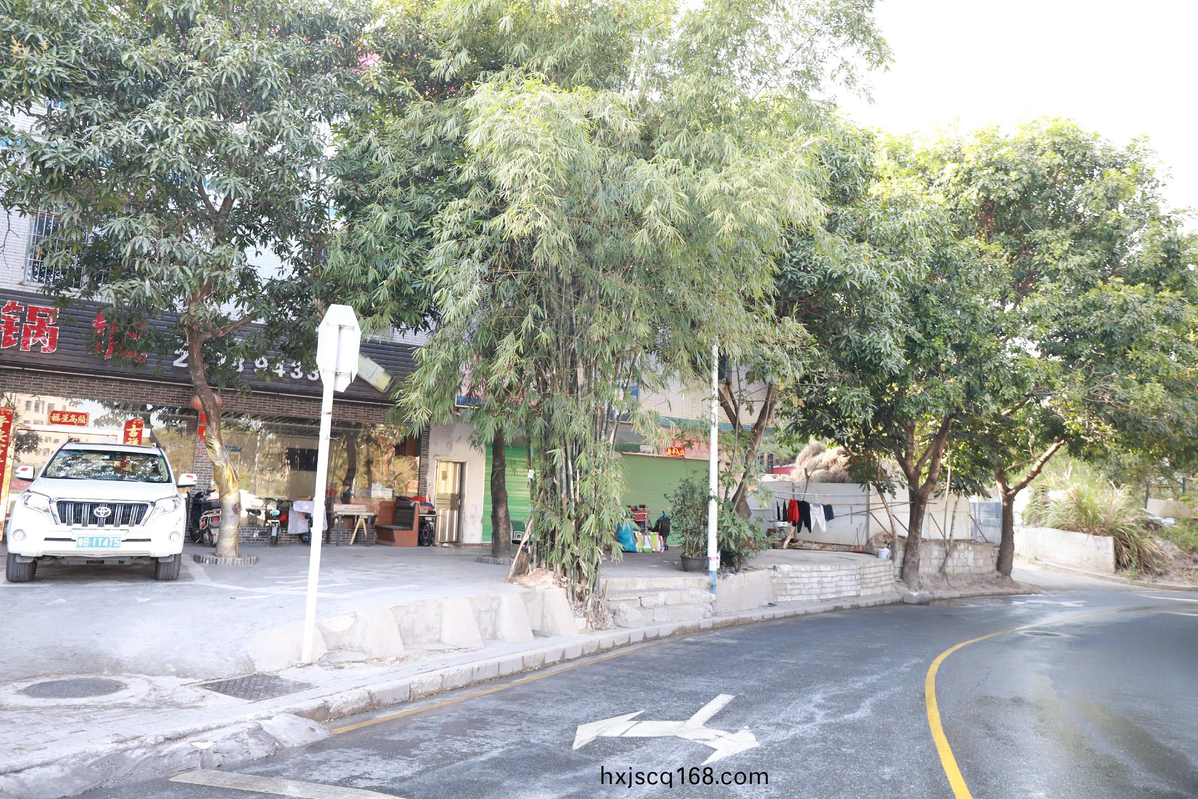 IMG_1506.jpg IMG_1506.jpg