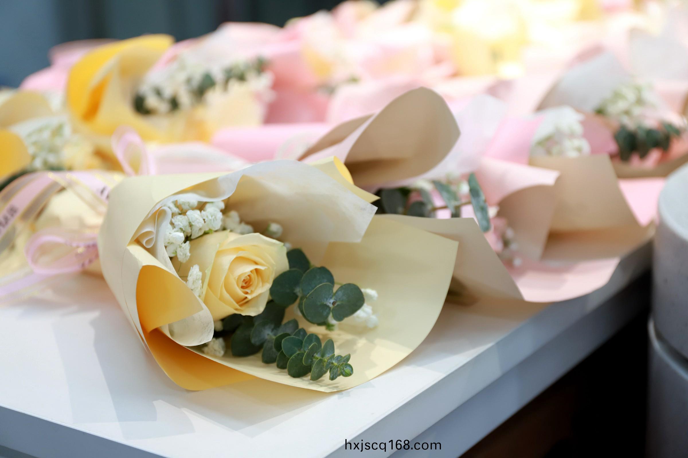 IMG_2631.jpg IMG_2631.jpg